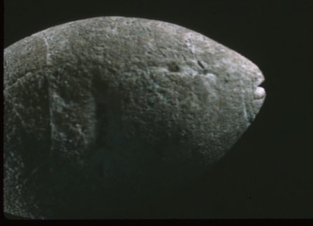 Chumash Indian Fish Effigy
